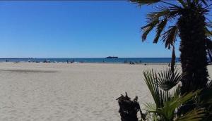 una spiaggia con una palma e persone sulla spiaggia di Hélios 24, T2 climatisé, parking, terrasse, 500m plage a Cap d'Agde
