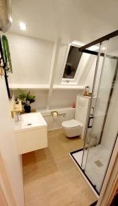 a bathroom with a toilet and a sink at de bosdriehoek II in Durbuy