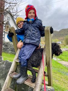 a young child sitting on a fence with a dog at Yr Hen Siop - 4 bed welsh cottage in Snowdonia in Penmachno