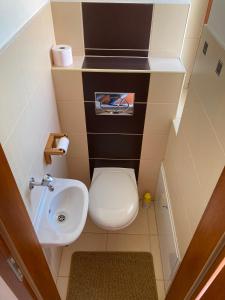 małą łazienkę z toaletą i umywalką w obiekcie Germar Apartman w mieście Pecz +8 zdjęć