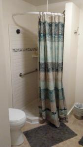 a bathroom with a shower curtain and a toilet at 13 Hills Bed & Breakfast in South Acworth