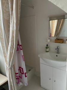 baño con lavabo y cortina de ducha en MAISON AMORAINA, en Ascarat