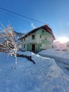 The Green House saat musim dingin