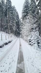 Apartman Popadić durante el invierno