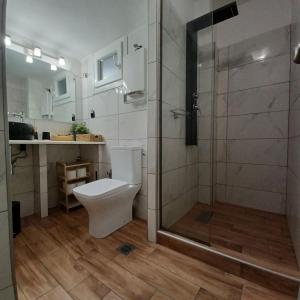 un bagno con wc e doccia di Brand New Studio 3 a Komotini Altre 43 foto