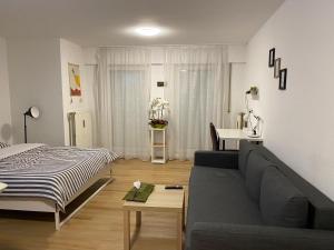 卢森堡studio CHEZ TONY的带沙发和床的客厅