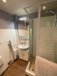 W łazience znajduje się szklana kabina prysznicowa i umywalka. w obiekcie Heimathafen Friedrichskoog w mieście Friedrichskoog-Spitz