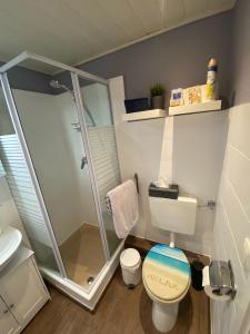 a bathroom with a shower and a toilet at Heimathafen Friedrichskoog in Friedrichskoog-Spitz