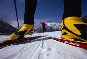 Eine Person steht auf Skiern im Schnee in der Unterkunft Appartementhaus Alpenrose in Pertisau