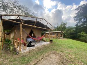 Příroda nedaleko luxury tent