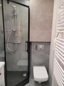 Kúpeľňa v ubytovaní Apartament Pod Radiostacją -Gliwice Tarnogórska, parking free, klimatyzacja