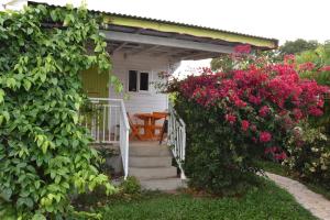 un escalier menant à une maison blanche ornée de fleurs dans l'établissement La Bougainvillée, à Saint-François