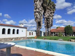 a swimming pool in front of a house with palm trees at Fazenda do Marante in Tomar