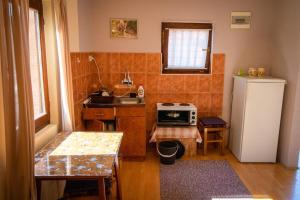 Kuchyň nebo kuchyňský kout v ubytování Apartmani Vidra