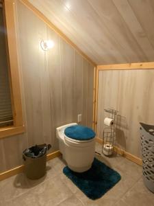 a bathroom with a toilet with a blue seat at Charming studio in-law on Great East Lake in Acton