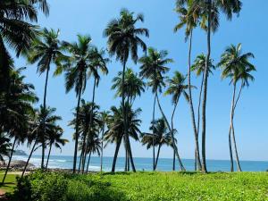 
a beach with palm trees and palm trees at Maadathil Cottages in Varkala
