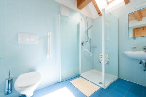 a bathroom with a shower and a toilet and a sink at Residence Pichlerhof in Rasun di Sopra