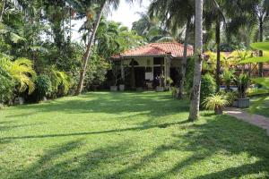 dom z palmami przed dziedzińcem w obiekcie Pavana Hotel w Negombo