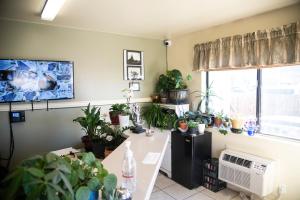 TV o dispositivi per l'intrattenimento presso The Virginian Inn Moab Downtown