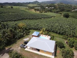 une vue aérienne sur une maison dans un champ de maïs dans l'établissement Kay' Élo, au François