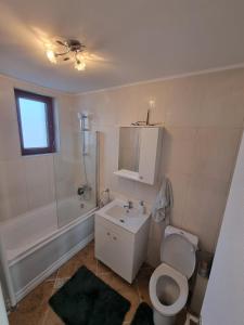a bathroom with a toilet and a sink and a shower at Vila Matei in Otopeni