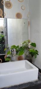 a bathroom sink with a plant next to a mirror at Suburdi Guest House in Mujur