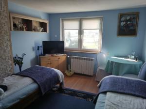 Televízia a/alebo spoločenská miestnosť v ubytovaní Homestay Stróżówka