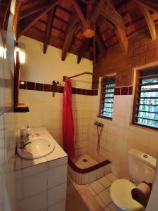 a bathroom with a sink and a shower and a toilet at Hotel Benjamin in Ambatoloaka