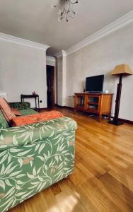 uma sala de estar com um sofá e uma televisão de ecrã plano em Chiqui Home em Salamanca