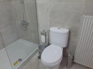 un baño con inodoro y ducha en Blue Cottage, en Apsiou 65 fotos más