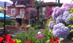 Сад в Apartment City Garden