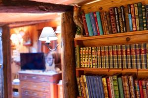 Durfort-et-Saint-Martin-de-SossenacにあるLe Portel des Arnaud Chambres d'Hôtesの本棚