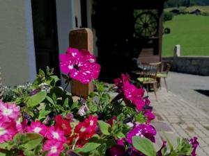 un ramo de flores rosas delante de una casa en Ferienwohnung Oberkofler, en Mittersill