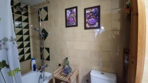 bagno con servizi igienici e 3 immagini sul muro di APARTAMENTO MUY CÉNTRICO con VISTAS - El Niuet de Sort a Sort Altre 10 foto