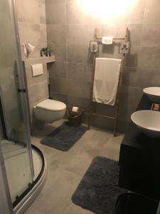 uma casa de banho com um WC, um lavatório e um chuveiro em Bed and Breakfast Unique em Enschede