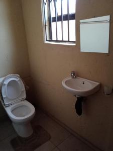ein Badezimmer mit Toilette und Waschbecken in der Unterkunft AGNES GUEST HOUSE in Germiston