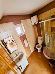 une salle de bain avec un lavabo, une douche et des toilettes dans l'établissement Cabana Vânătorilor, à Poiana Mărului