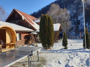 Το Cabana Poenita τον χειμώνα