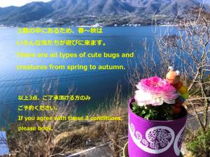 a pink vase with a bouquet of flowers at Sen Guesthouse in Shodoshima