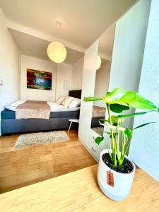 una camera con un letto e una pianta in vaso di Gästeapartment Leipzig City a Lipsia