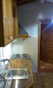 a kitchen with a sink and a stove at Apartment City Garden in Kotor