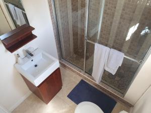a bathroom with a shower and a sink at Lovely Ensuite Getaway with Pool in Ocho Rios