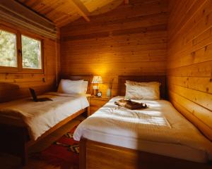 2 posti letto in una baita di tronchi con un cane steso sul letto di Mountain Breeze Lodge & Resort ad Al-Salṭ Altre 37 foto