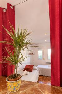 a bedroom with a potted plant in front of a bed at Casa de la Vega in Cúllar-Vega