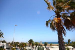 a palm tree in front of the beach at Casa Playa Los Pocillos in Puerto del Carmen in Puerto del Carmen