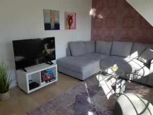 a living room with a couch and a television at Altastenberger Lodge in Winterberg