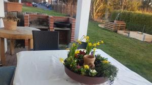 ein Blumentopf auf einem Tisch auf einer Terrasse in der Unterkunft Georgs Ferienwohnung in Michelstadt