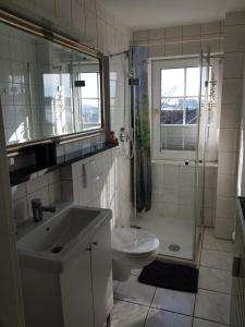 ein Bad mit einem Waschbecken, einem WC und einer Dusche in der Unterkunft Altastenberger Lodge in Winterberg