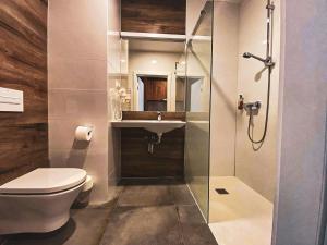 a bathroom with a toilet and a sink at Apartament Czarna Góra nr 202 in Biała Woda