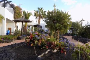 プエルト・デル・カルメンにあるCasa Matini - Apartment next to the beach in Puerto del Carmenの家の前の花と木の庭園